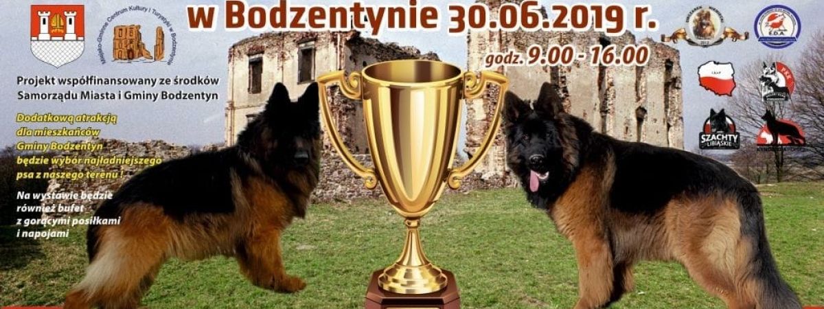 I Międzynarodowa Wystawa Psów Rasowych CACIB w Bodzentynie