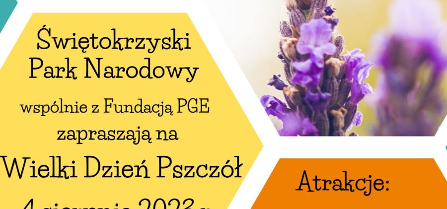 Zapraszamy na Wielki Dzień Pszczół do Świętokrzyskiego Parku Narodowego